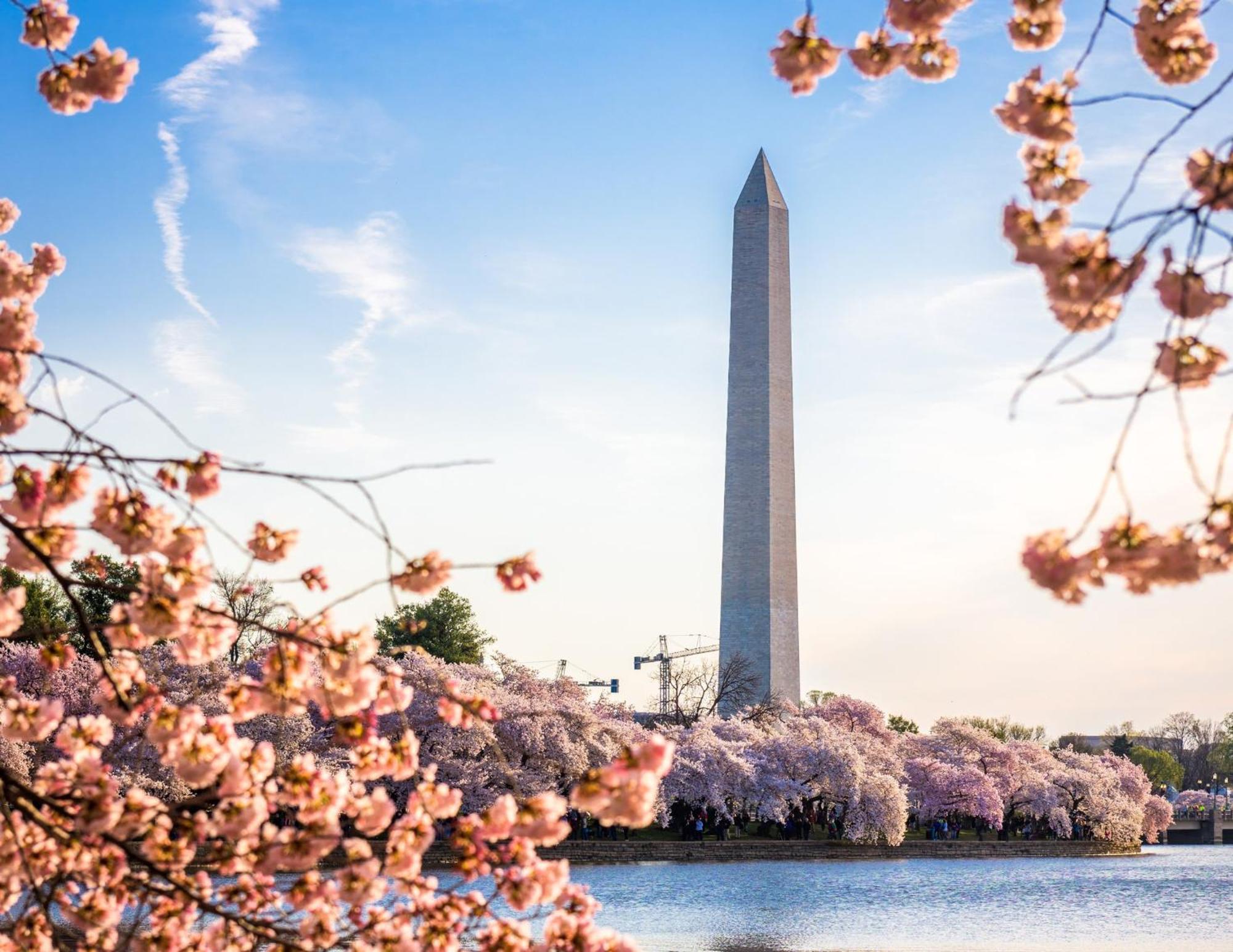 Staybridge Suites Washington D.C. - Greenbelt By Ihg Lanham Εξωτερικό φωτογραφία